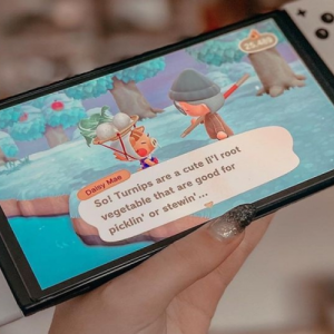 Explore the Possibilities of Your Nintendo Switch