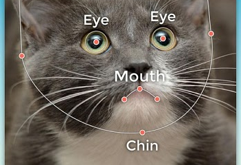 My Talking Pet Screenshot №1