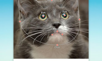 My Talking Pet Screenshot №5
