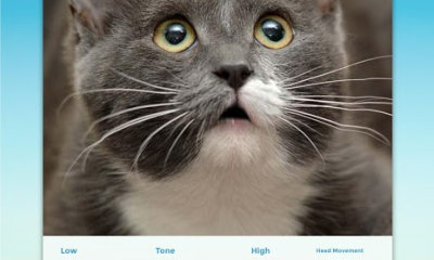 My Talking Pet Screenshot №6