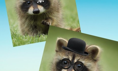 My Talking Pet Screenshot №7