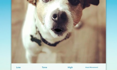 My Talking Pet Screenshot №8