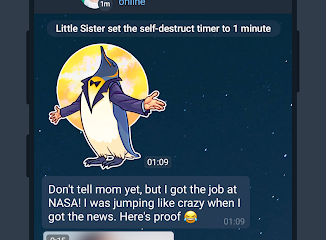 Telegram Screenshot №12