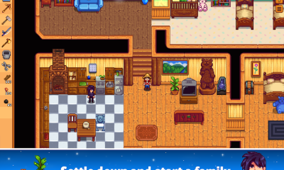 Stardew Valley Screenshot №11
