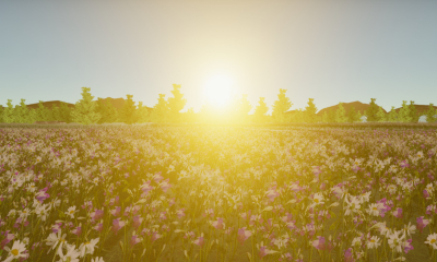 My Village Life Screenshot №5