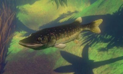 Feed and Grow: Fish Screenshot №10