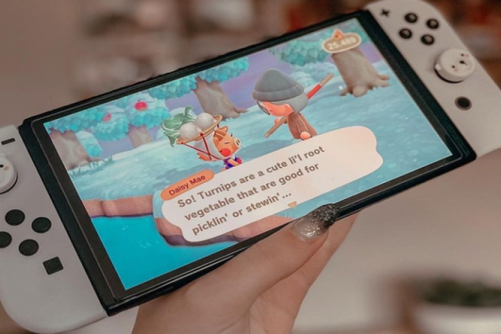 Explore the Possibilities of Your Nintendo Switch