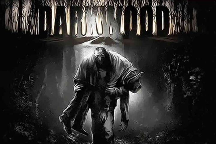 Indefinite Hiatus for Darkwood Game Developers